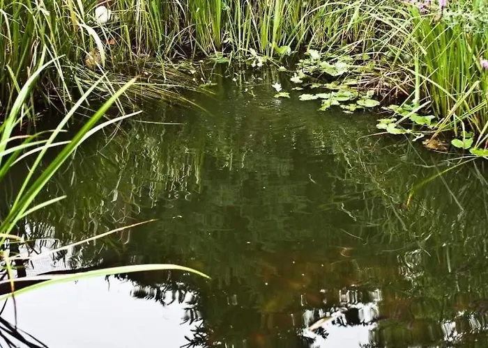 Lägenhet Spree Idyll By Interhome