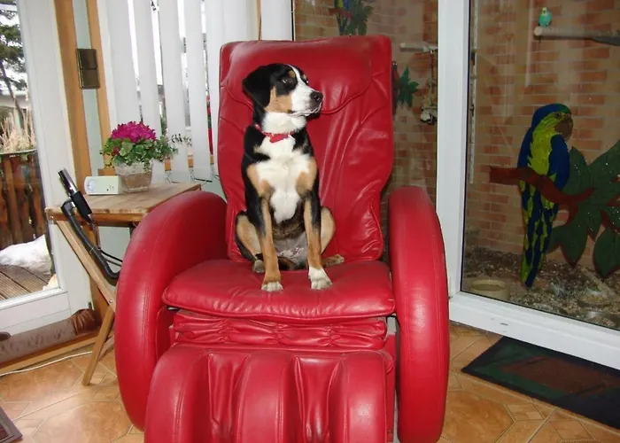 Apartment Spree Idyll By Interhome