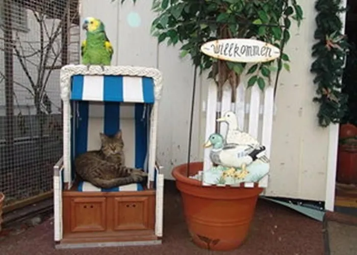 Spree Idyll By Interhome Apartment